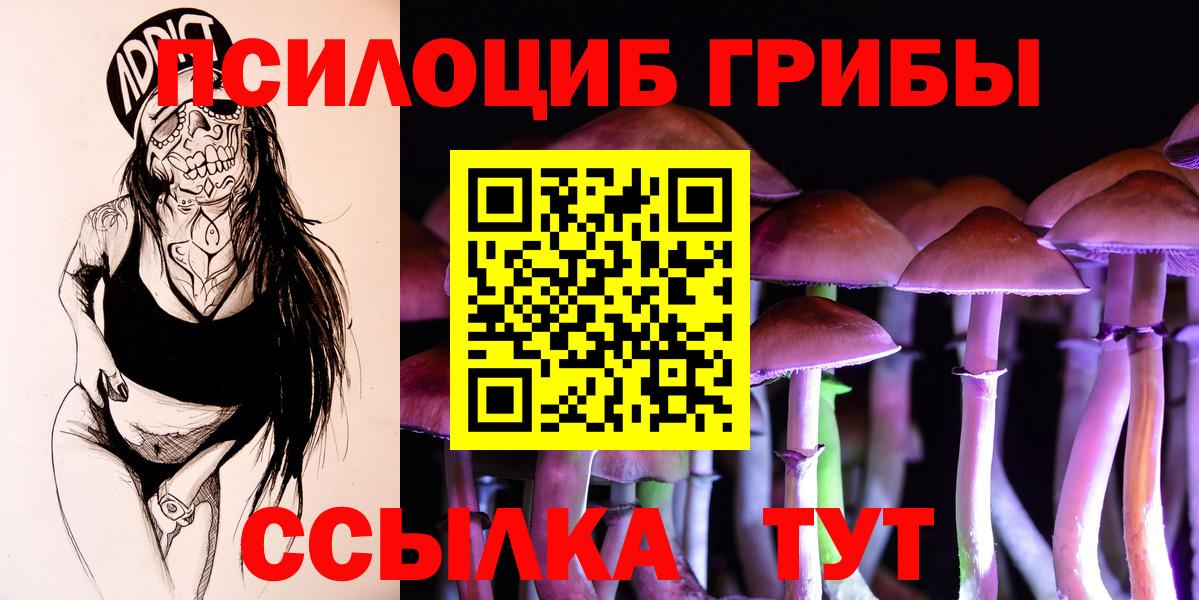 Псилоцибиновые грибы Psilocybine cubensis Рыбинск